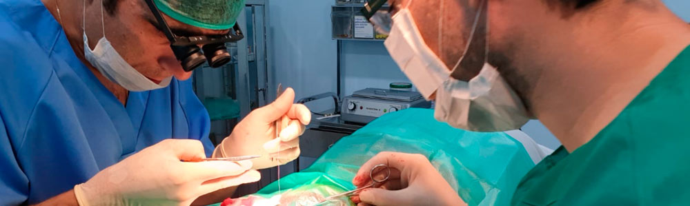 Cirugía abierta. Urología Ciudad Real